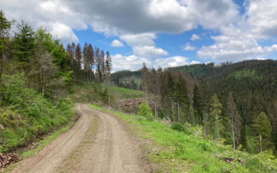 Endlich ist die Outdoor-Saison im Harz eröffnet!